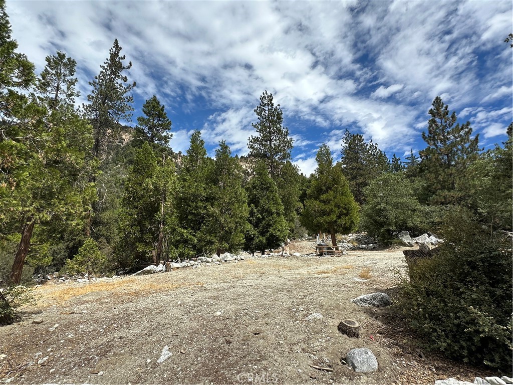 41385 Alder Drive Property Photo 9