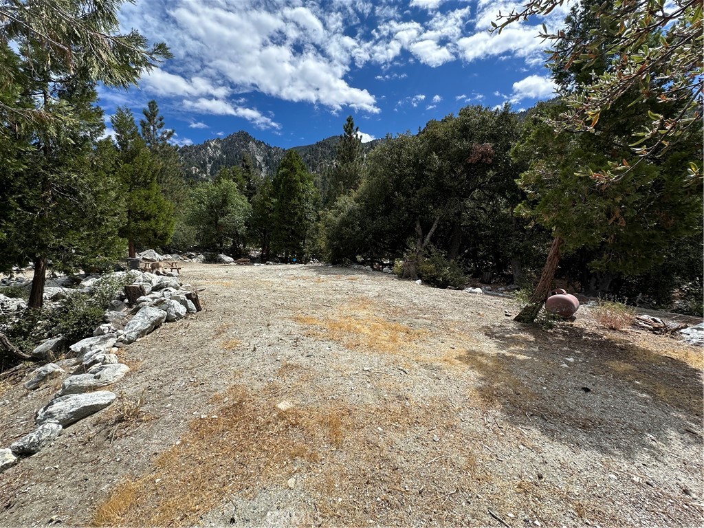 41385 Alder Drive Property Photo 10
