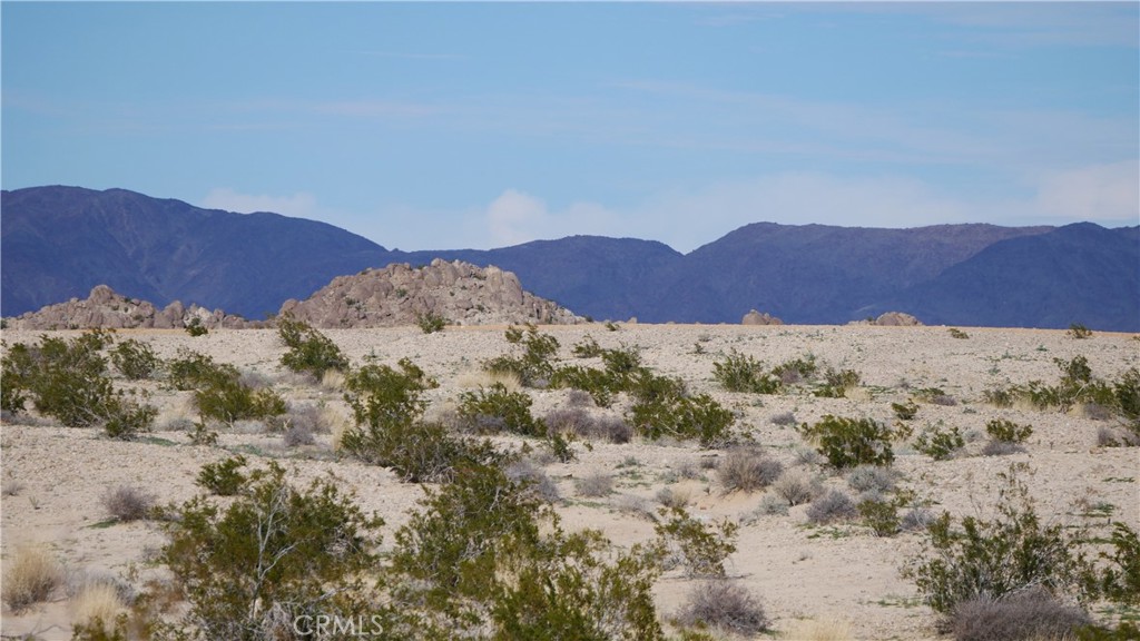 0 Wonder Valley Property Photo 1