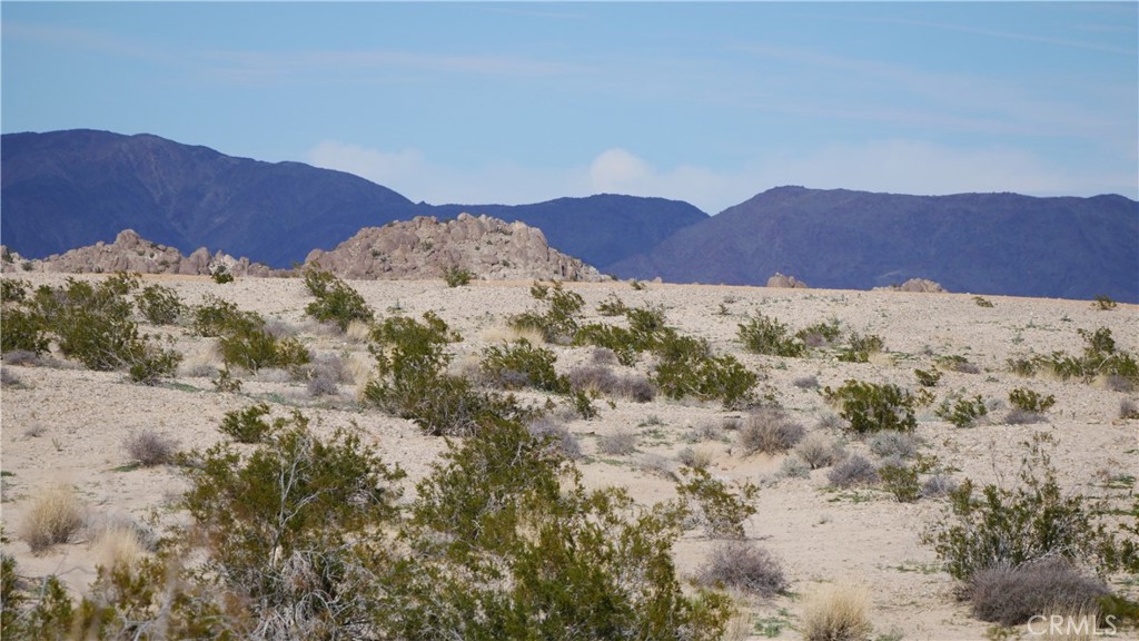 0 Wonder Valley Property Photo 2