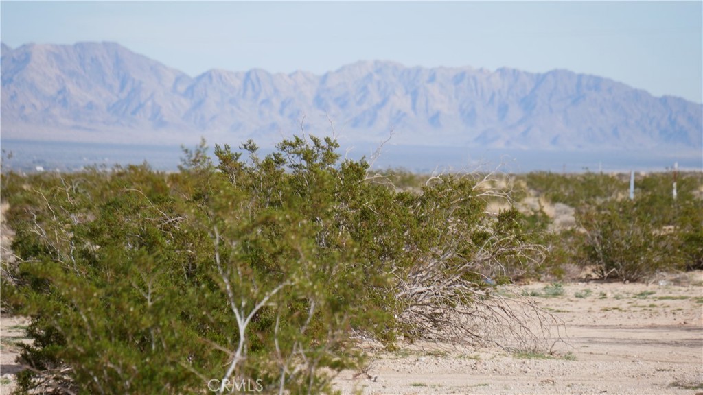 0 Wonder Valley Property Photo 3