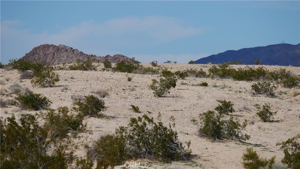0 Wonder Valley Property Photo 10