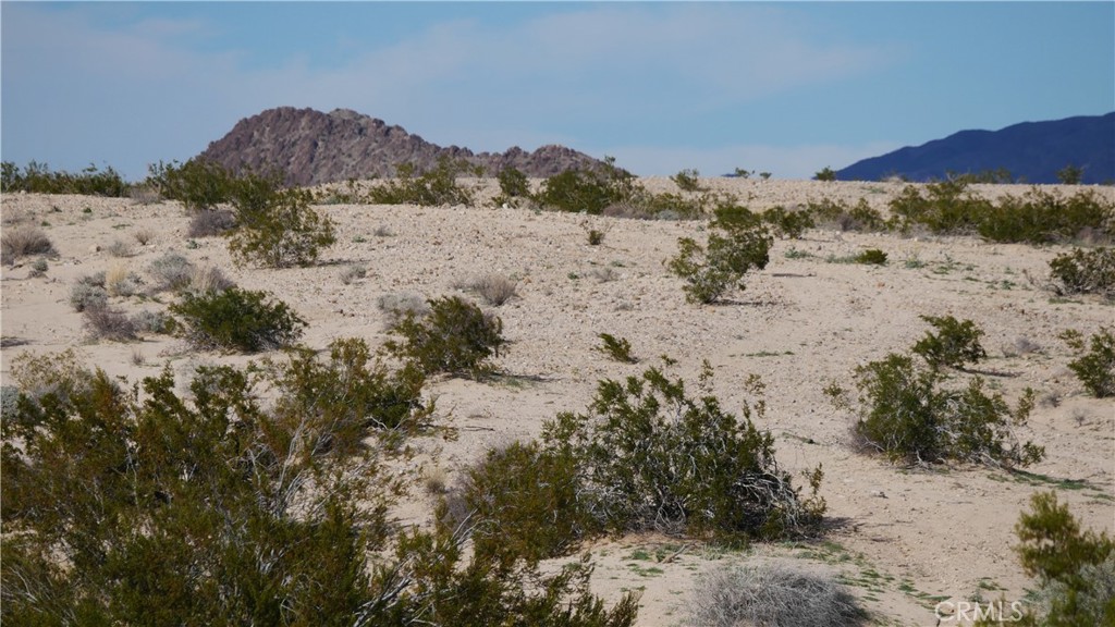 0 Wonder Valley Property Photo 11