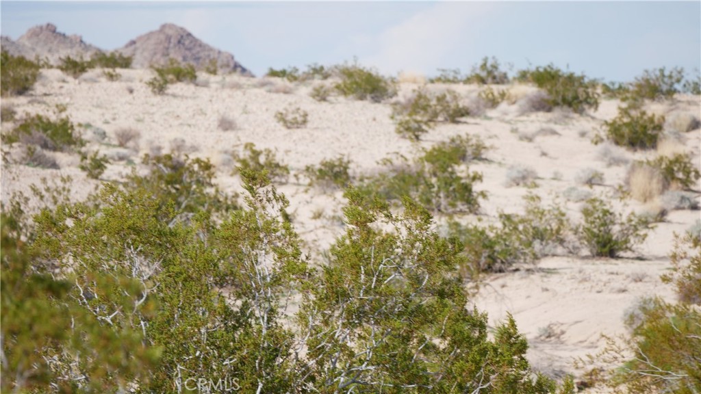 0 Wonder Valley Property Photo 12