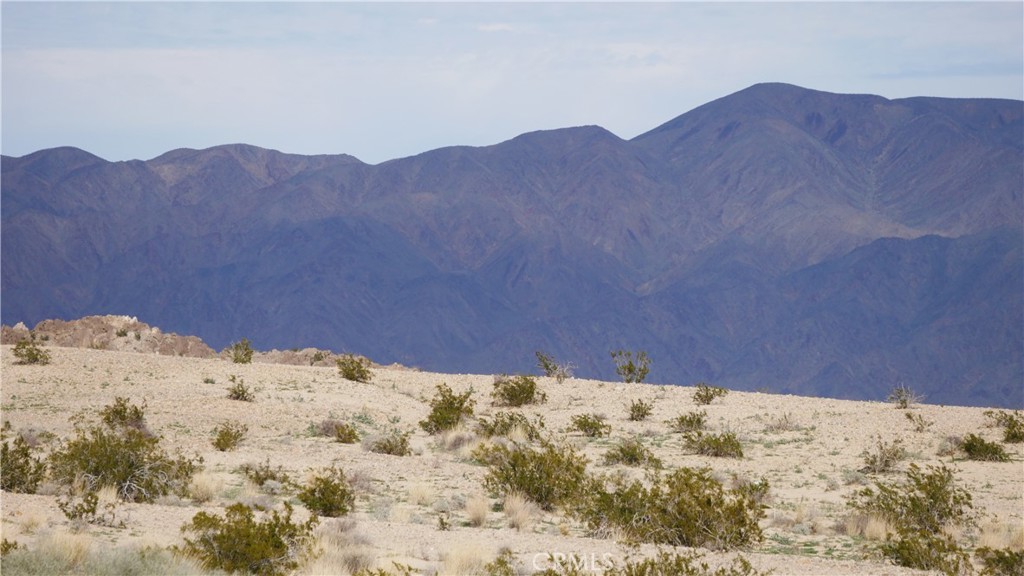 0 Wonder Valley Property Photo 13