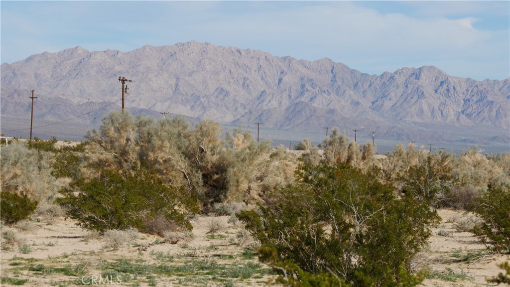 0 Wonder Valley Property Photo 15