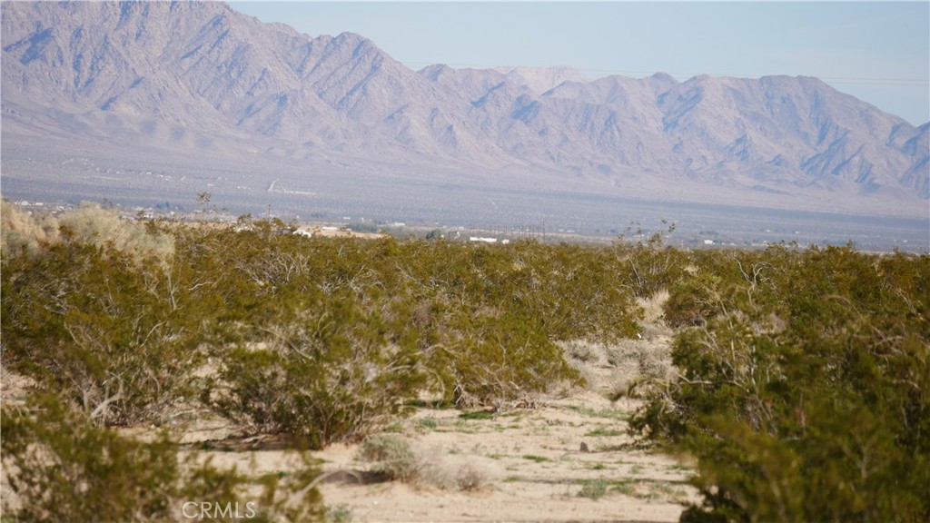 0 Wonder Valley Property Photo 16