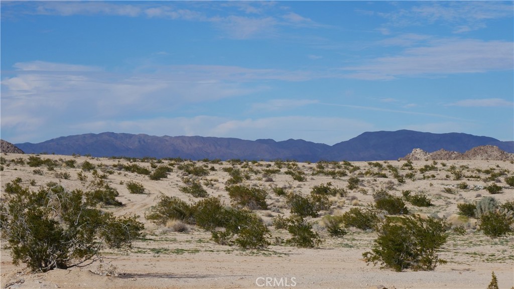 0 Wonder Valley Property Photo 25
