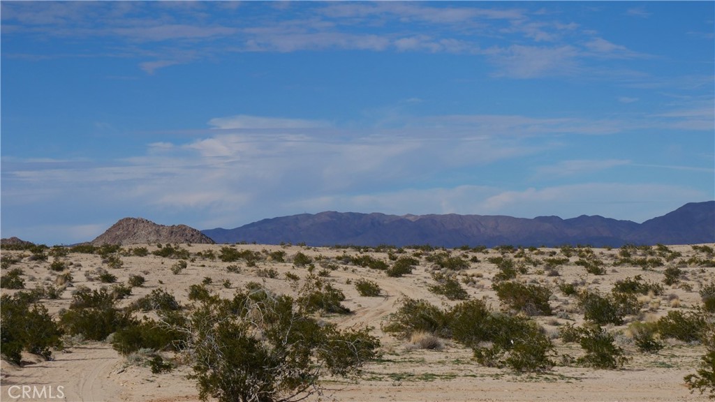 0 Wonder Valley Property Photo 30