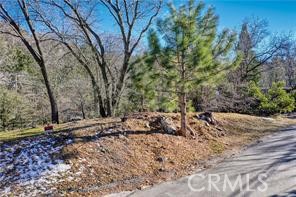 0 Deer Property Photo 2