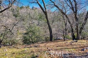 0 Deer Property Photo 4