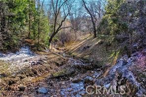 0 Deer Property Photo 5