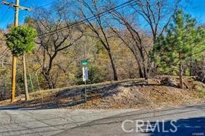 0 Deer Property Photo 6