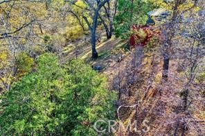 0 Deer Property Photo 7