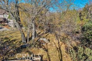 0 Deer Property Photo 8