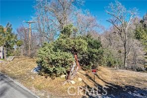 0 Deer Property Photo 11