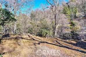 0 Deer Property Photo 12