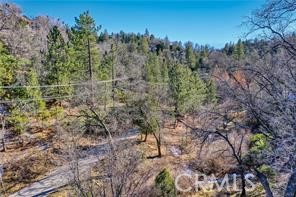 0 Deer Property Photo 13