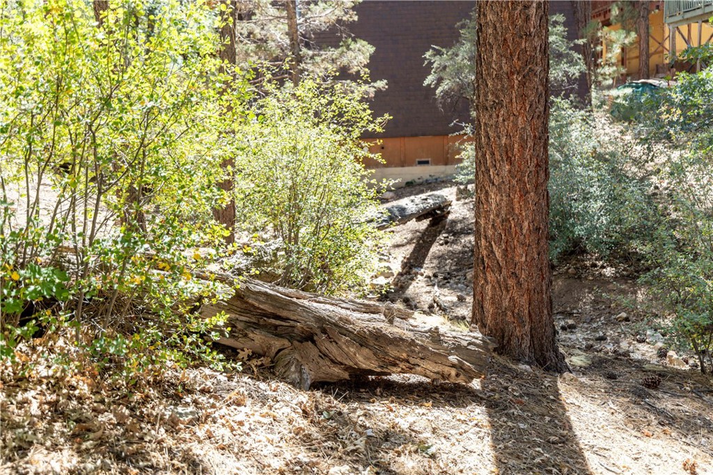 0 Lot 44 Kern Property Photo 1