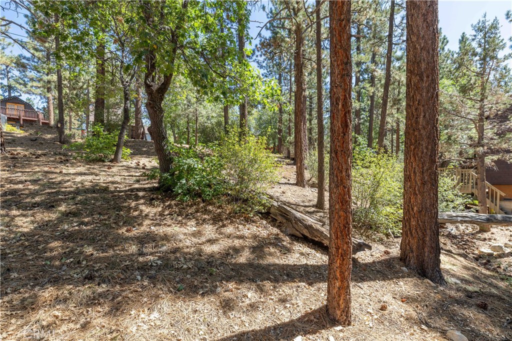 0 Lot 44 Kern Property Photo 2