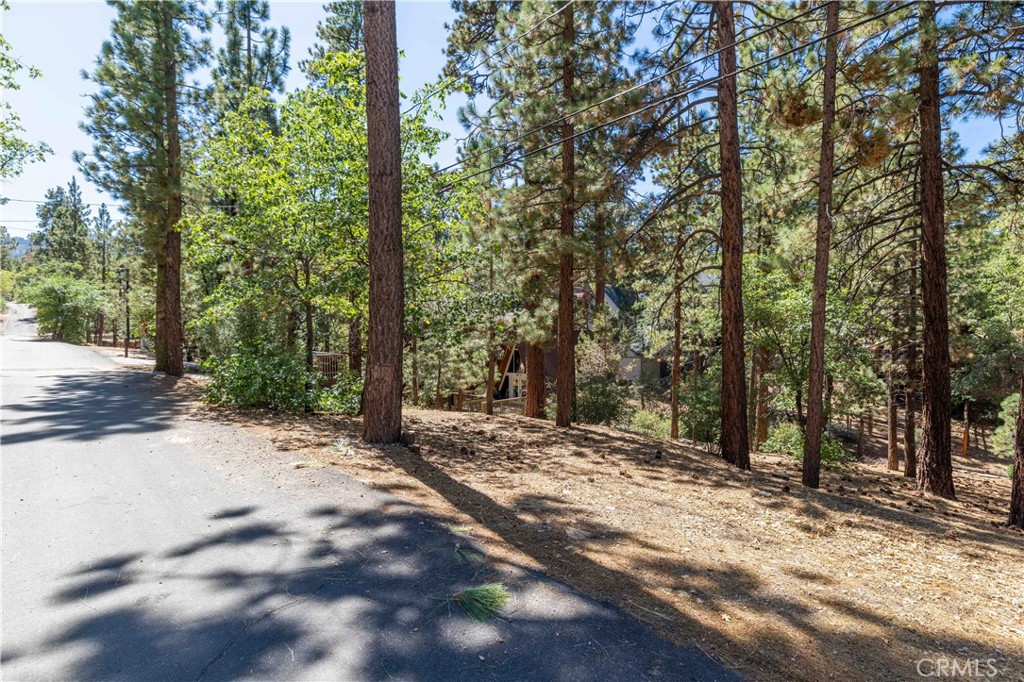 0 Lot 44 Kern Property Photo 4