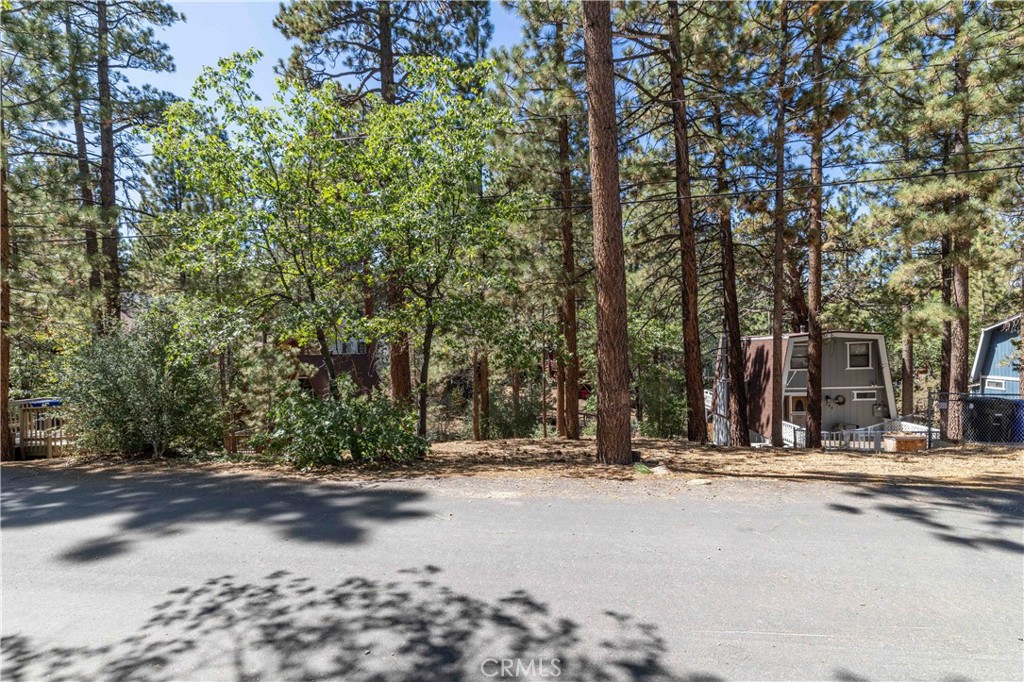 0 Lot 44 Kern Property Photo 5
