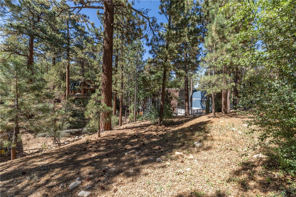 0 Lot 44 Kern Property Photo 7