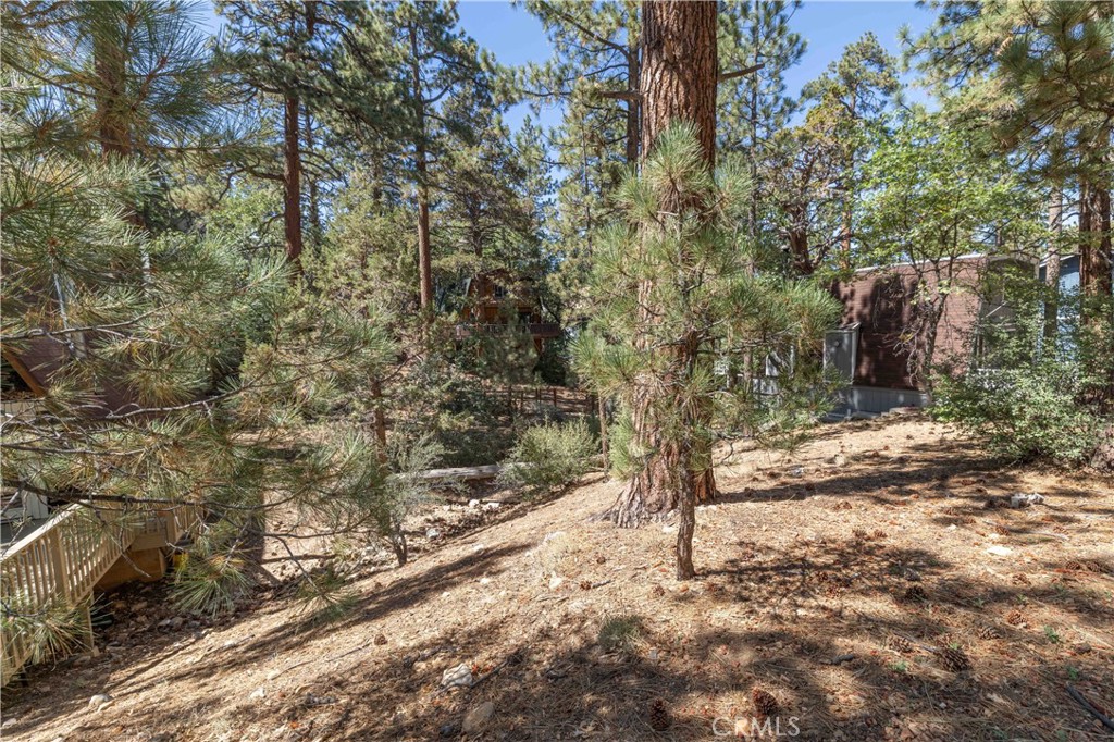 0 Lot 44 Kern Property Photo 8