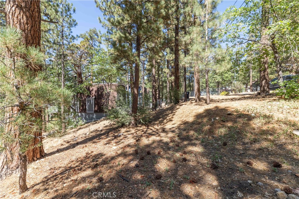 0 Lot 44 Kern Property Photo 9
