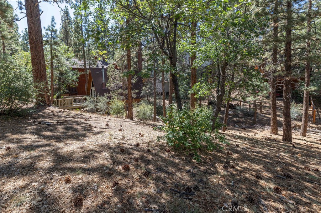 0 Lot 44 Kern Property Photo 11