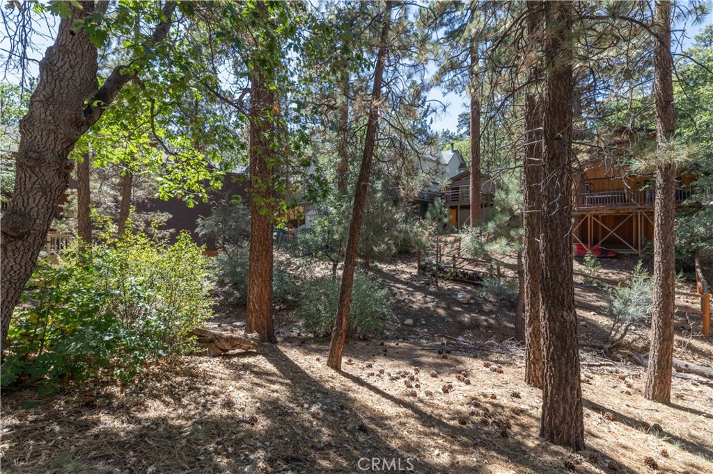 0 Lot 44 Kern Property Photo 12