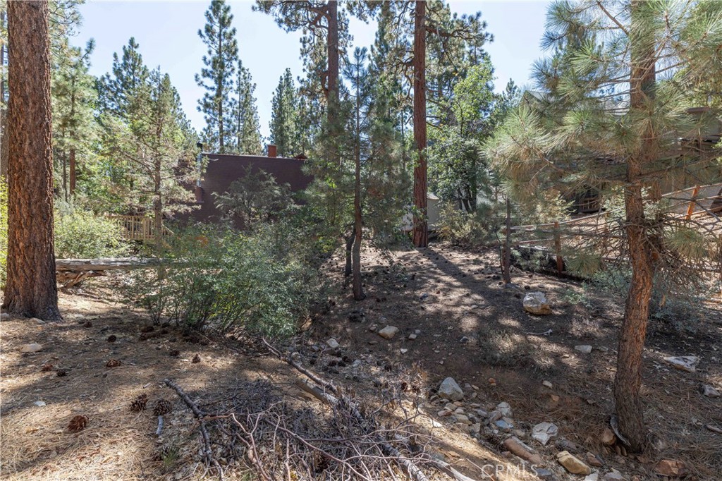 0 Lot 44 Kern Property Photo 13