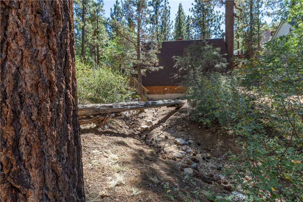 0 Lot 44 Kern Property Photo 14