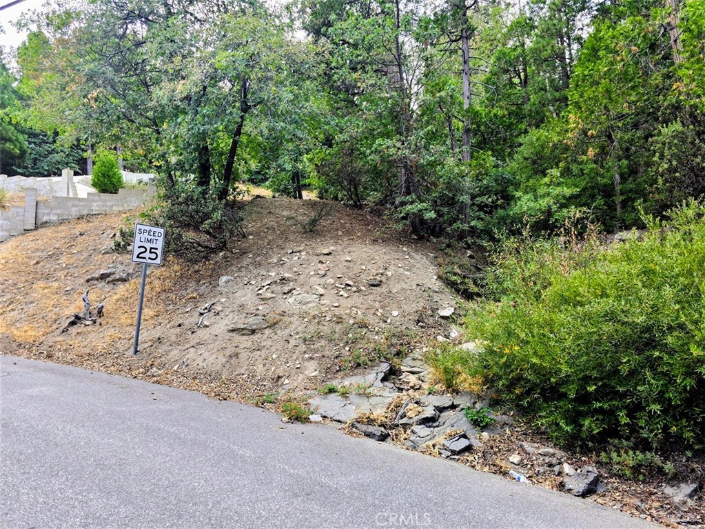 0 Zurich Drive Property Photo 2