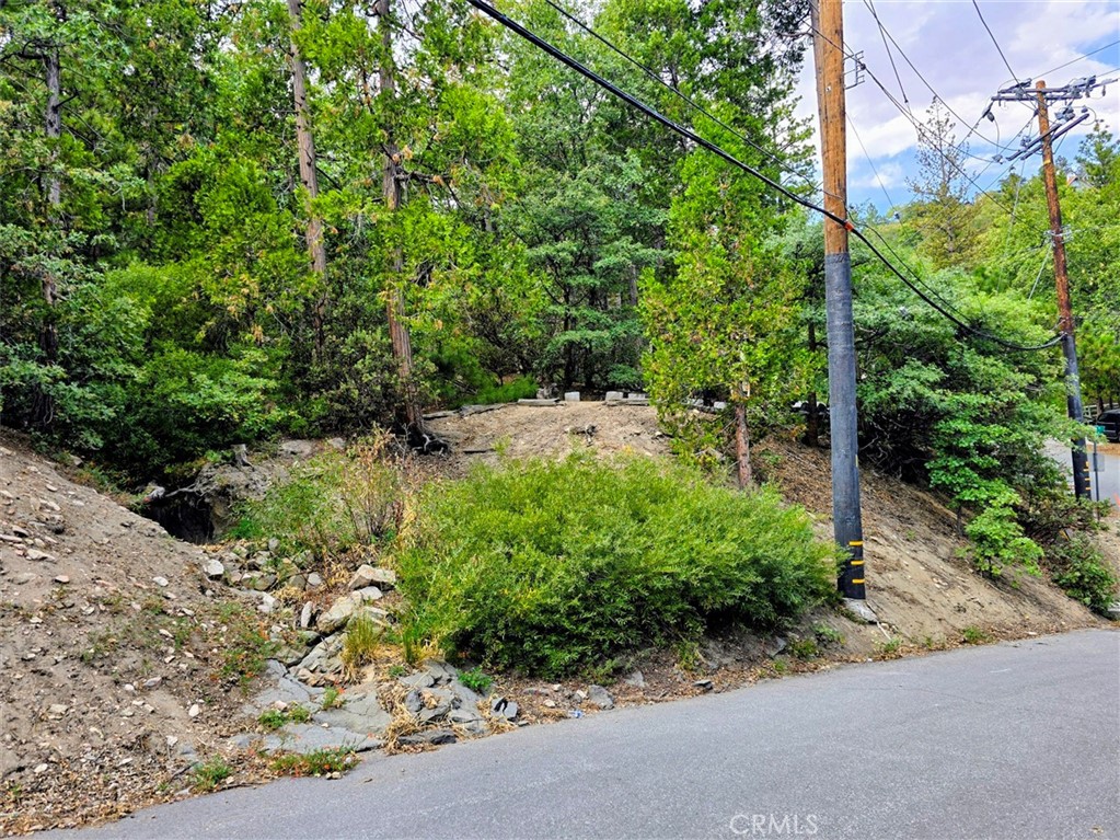 0 Zurich Drive Property Photo 3