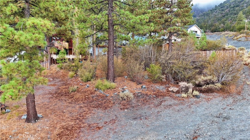 0 Mahogany Property Photo 4