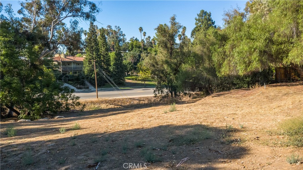 0 Campbell Avenue Property Photo 4