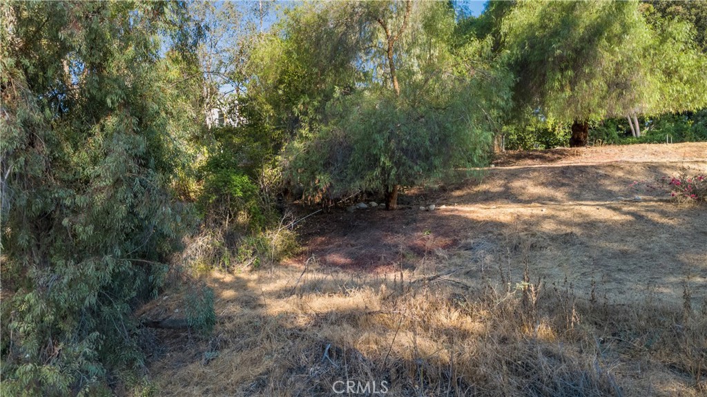 0 Campbell Avenue Property Photo 8