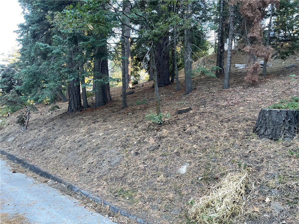 26405 Walnut Hills Property Photo 1