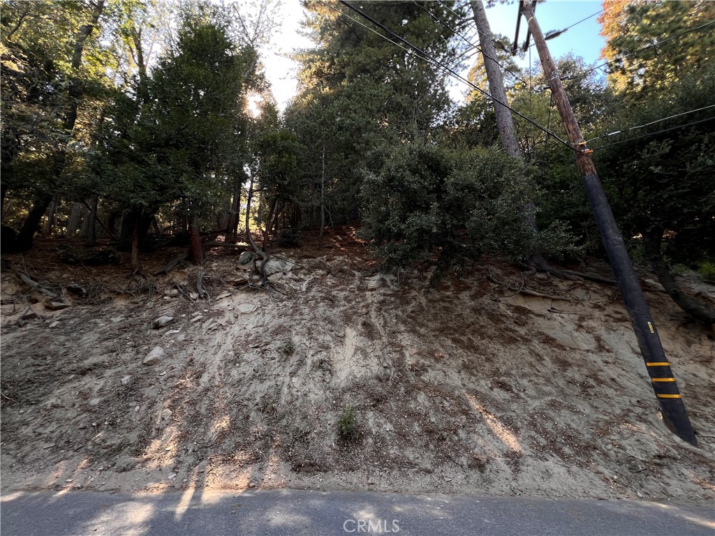 0 Lausanne Property Photo 1