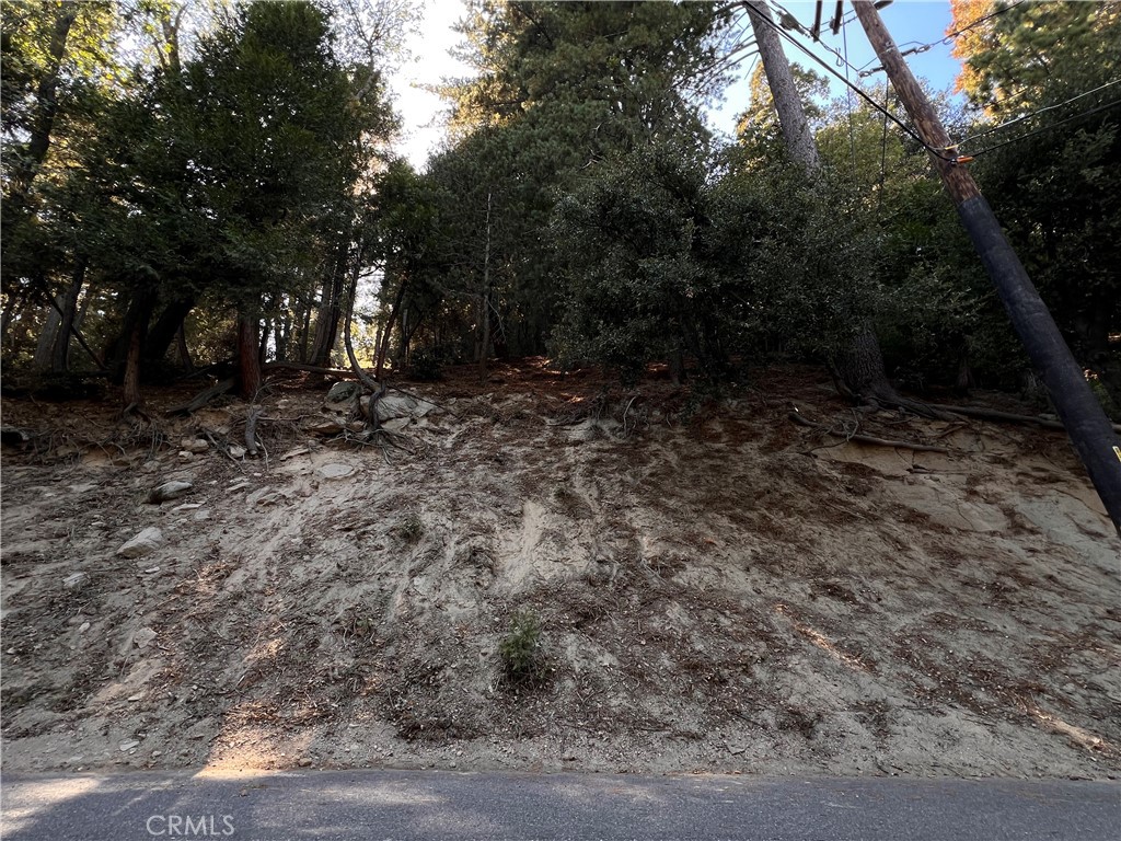 0 Lausanne Property Photo 3
