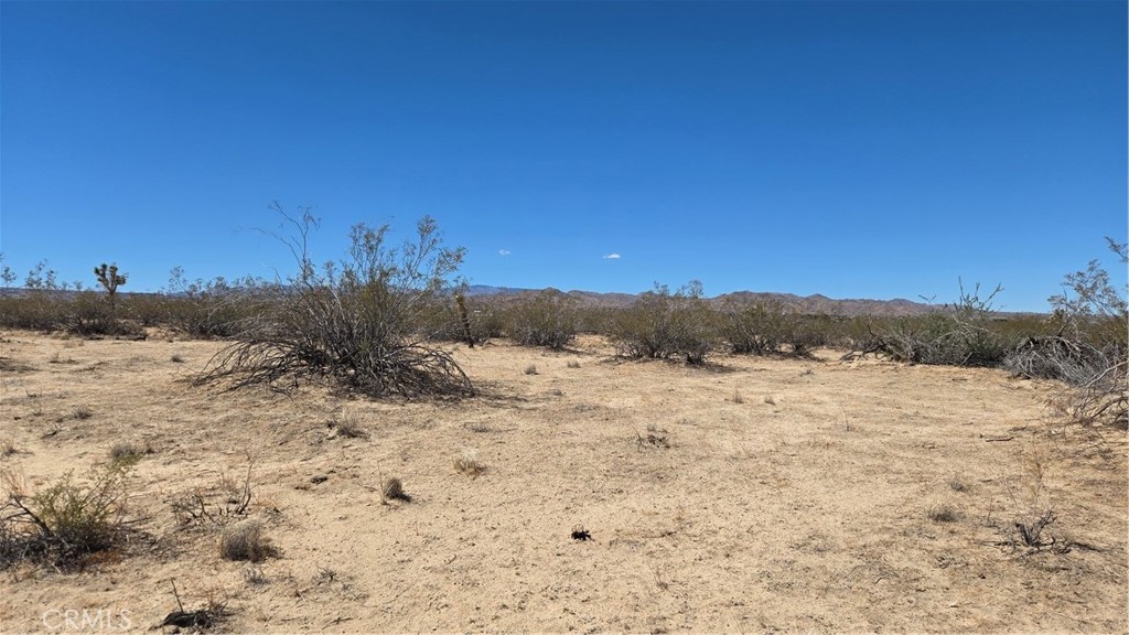 4102 Pine (jackrabbit) Lane Property Photo 1