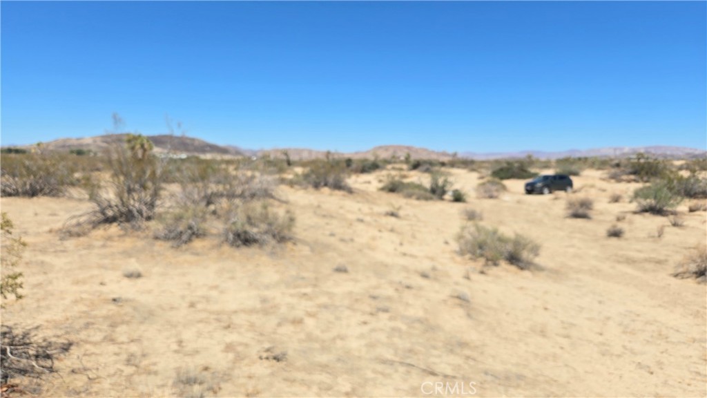 4102 Pine (jackrabbit) Lane Property Photo 2