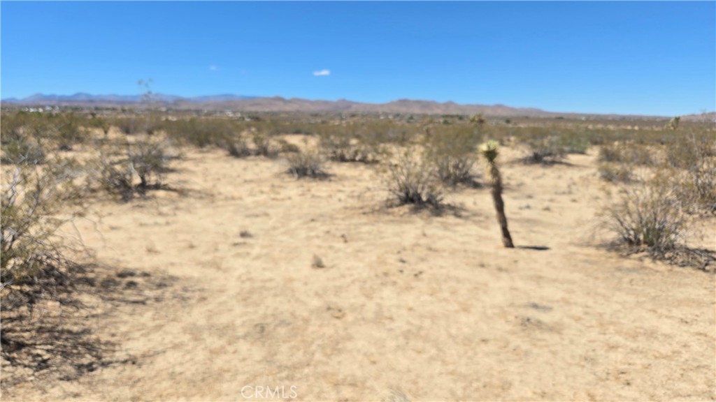 4102 Pine (jackrabbit) Lane Property Photo 3