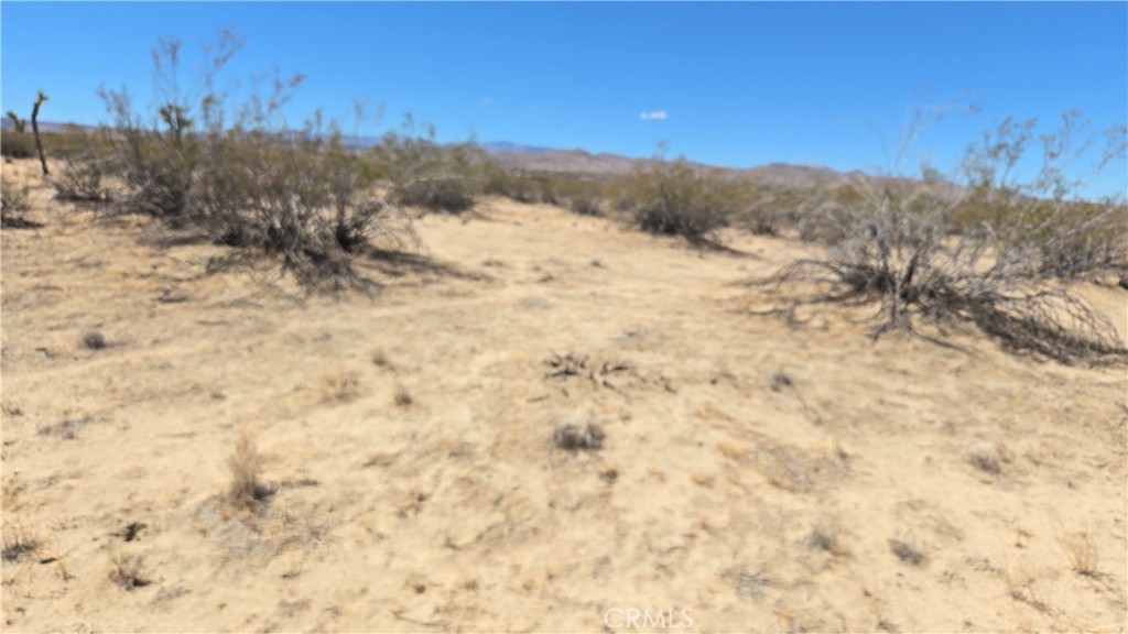 4102 Pine (jackrabbit) Lane Property Photo 4