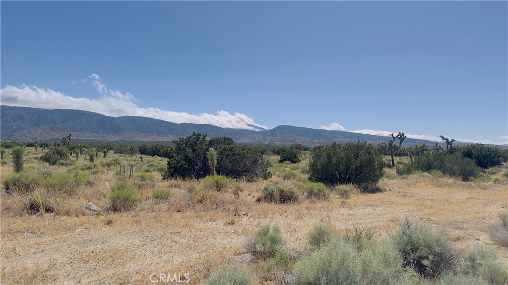31 Hwy 138 Property Photo 1