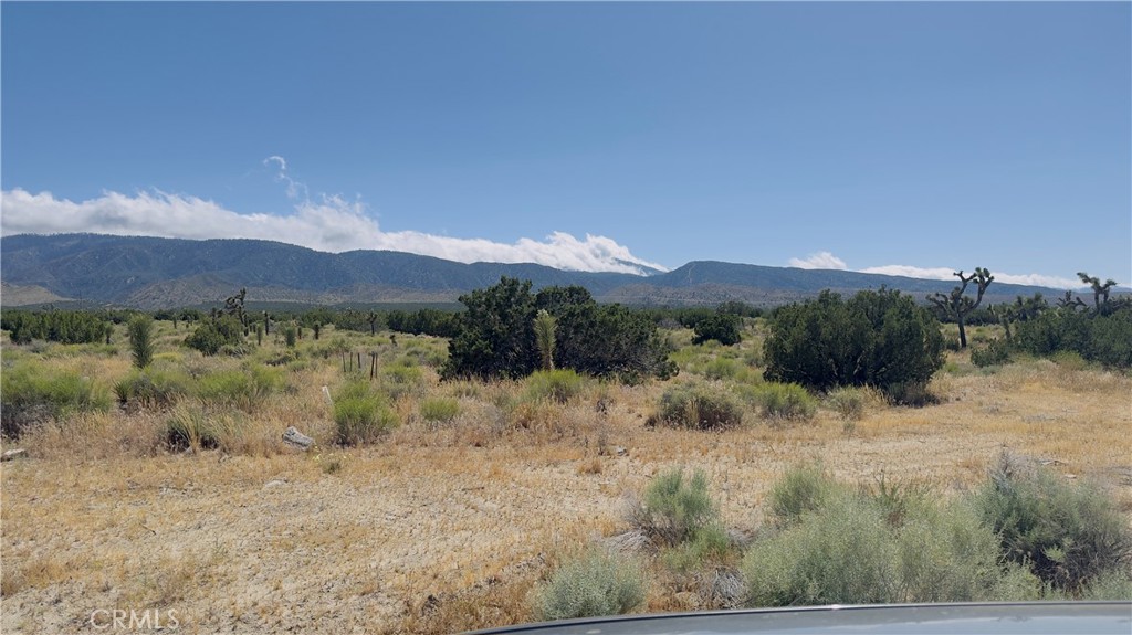 31 Hwy 138 Property Photo 3