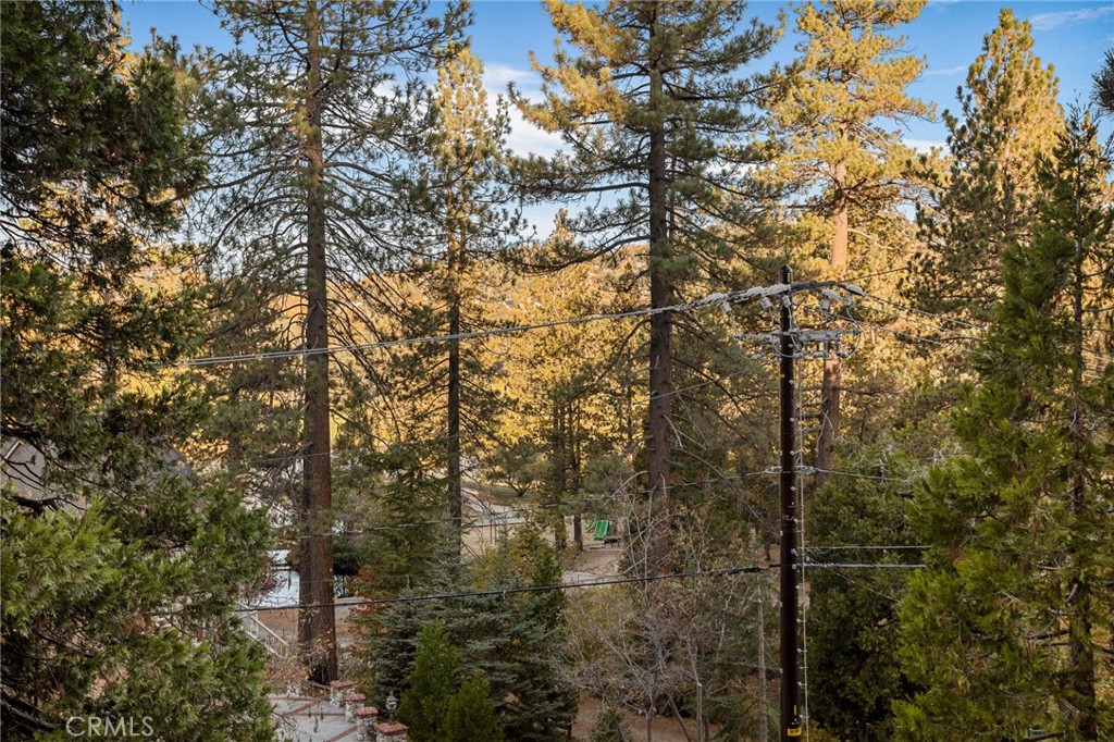 579 Golf Course Rd Property Photo 31