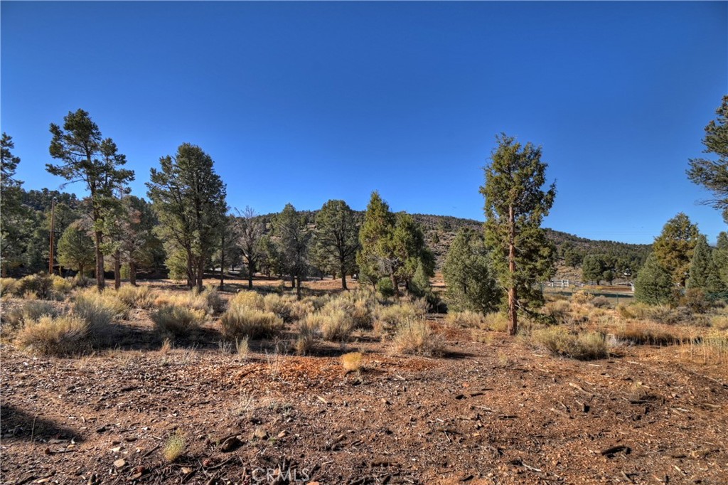 0 Minnow Property Photo 16