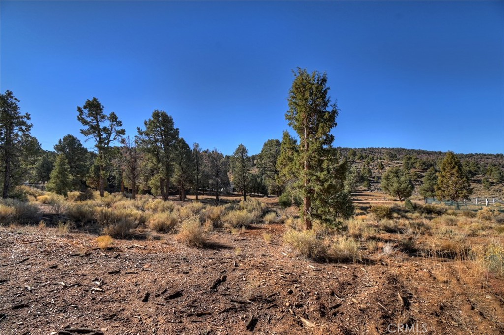0 Minnow Property Photo 17